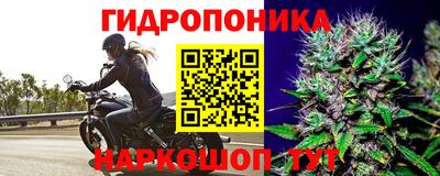 spice Малгобек