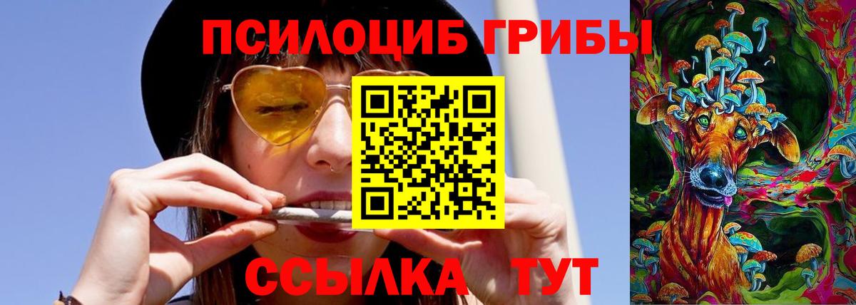 Псилоцибиновые грибы Psilocybe  Вход с VPN  Галлюциногенные грибы Psilocybine cubensis  Тавда 