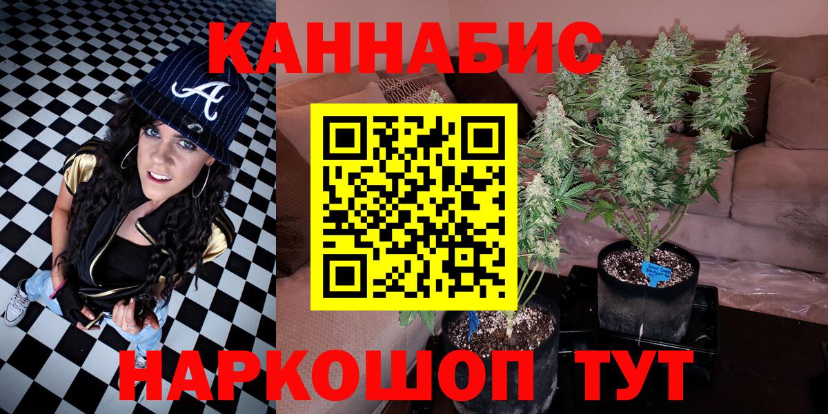 Бошки Шишки конопля  Вход с VPN  Тавда  Каннабис сатива  Марихуана сатива  МАРИХУАНА VHQ 